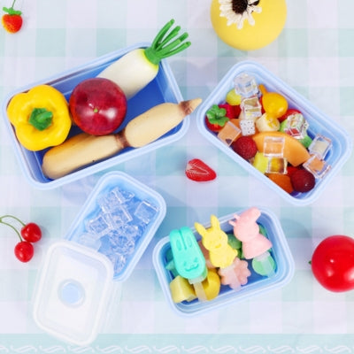 Boites-plastiques-alimentaire-pliable-bleue