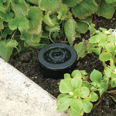 boite cachette pour clés dans jardin plantée milieu plantes