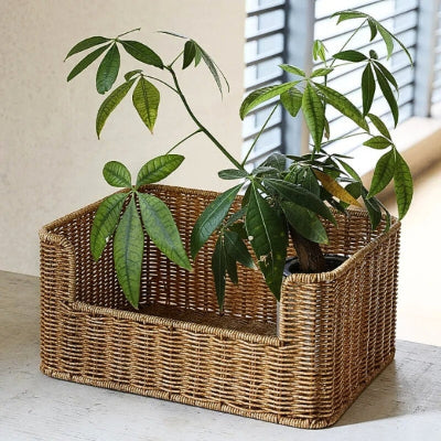 panier rangement osier artisanal plante verte fenêtre